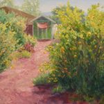 Discovery Garden Sunflowers