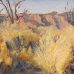 Looking at the Bench