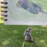 Piki @ Ute Museum Lawn