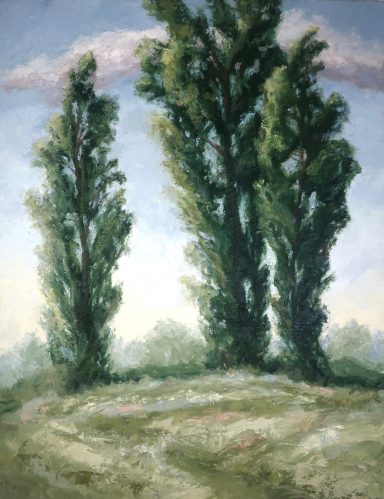 Stanton Farm Poplars